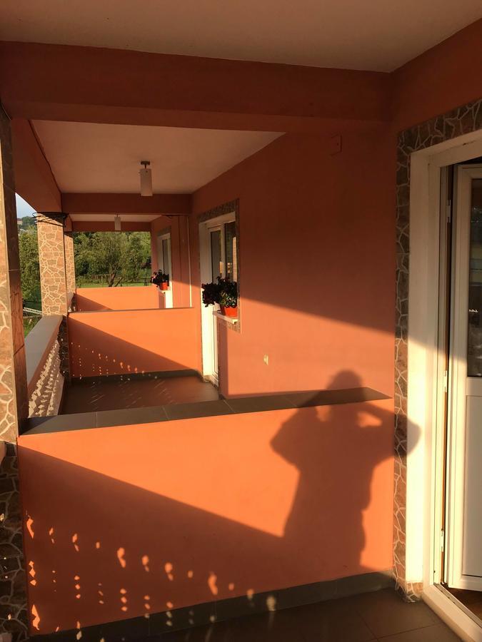Pensiunea Colt De Rai Săcel Eksteriør bilde